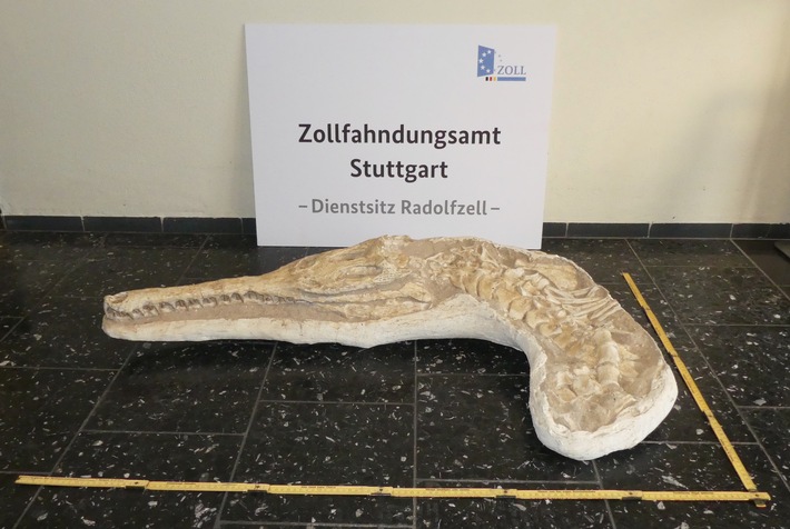 ZOLL-S: Rückgabe eines urzeitlichen Krokodilschädels an das Königreich Marokko / Bei Einreisekontrolle beschlagnahmtes Fossil stammte aus Phosphat-Abbaugebieten