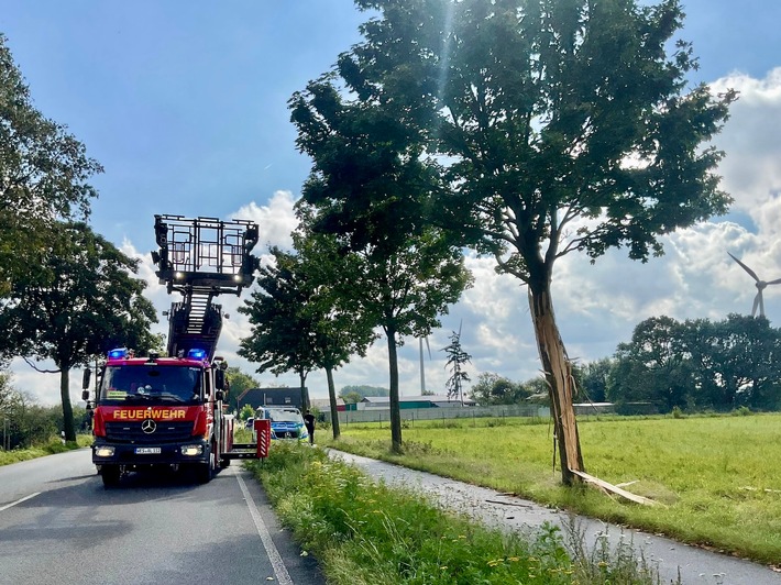 FW Alpen: Gespaltener Baum nach Blitzeinschlag