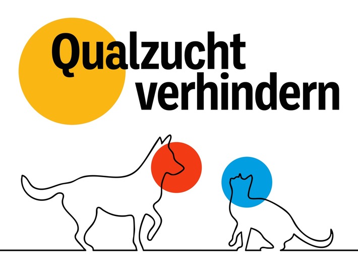 ZZF informiert über Qualzüchtung und fordert rechtssichere Kriterienliste