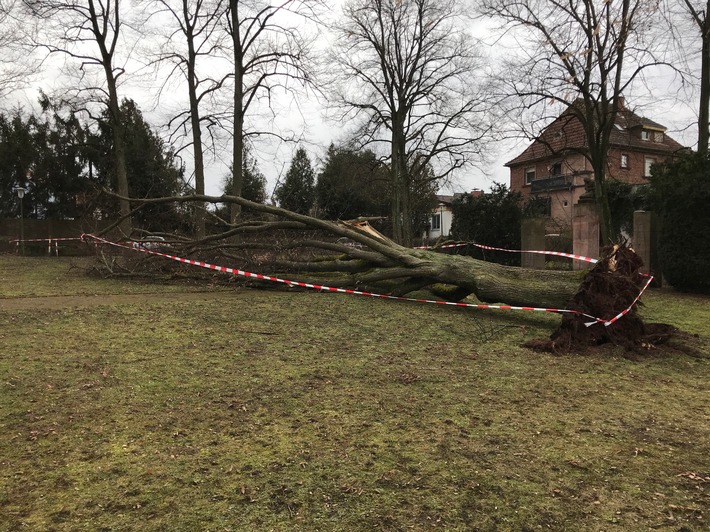 POL-PPWP: Glück im Unglück: Baum stürzt auf Spaziergänger