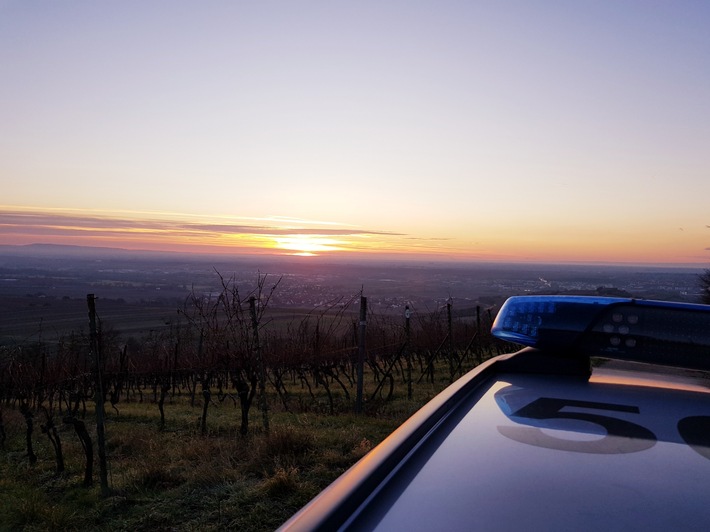 POL-PDNW: Diebstähle und Sachbeschädigungen in Weinbergen