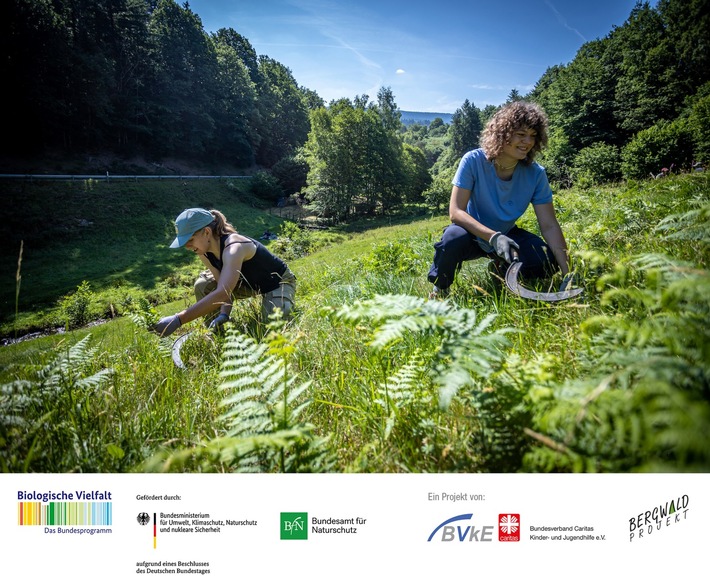 Projekt „Natur (er)leben! – Kinder- und Jugendhilfe packt an“: Zwischenergebnisse der Evaluation veröffentlicht