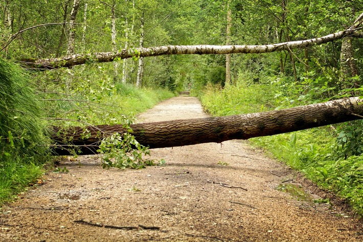 Richtiges Verhalten bei Wind, Sturm und Unwetter - ADAC Hessen-Thüringen gibt Tipps für Autofahrer