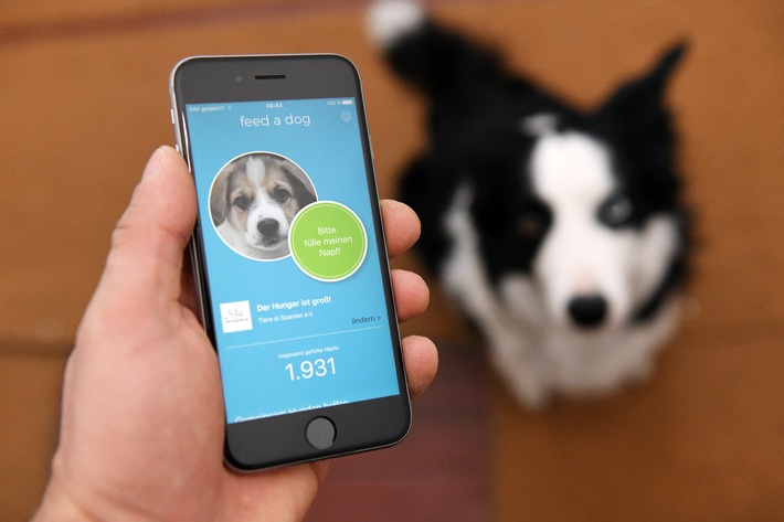 Erste Tierschutz-App "feed a dog" erfolgreich gestartet