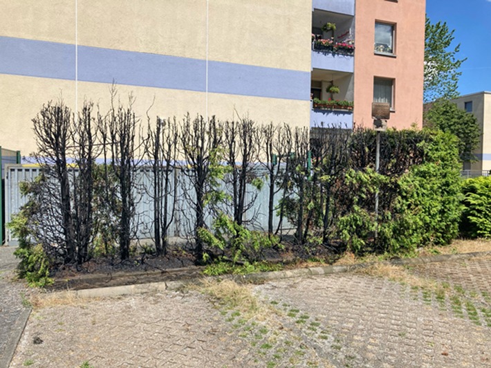 POL-ME: Hecke brannte aus bisher noch ungeklärter Ursache - Monheim - 2207017