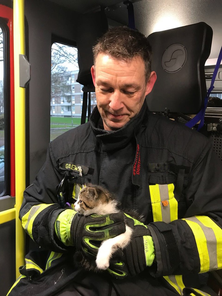 FW-DO: Katze aus Motorraum eines Fahrzeugs gerettet