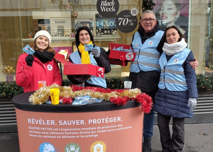 Journée internationale des volontaires: QUATRE PATTES rend hommage à l’engagement exceptionnel de ses bénévoles
