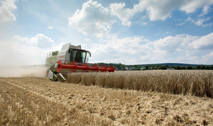 Prognose der Agravis Raiffeisen AG zur beginnenden Ernte