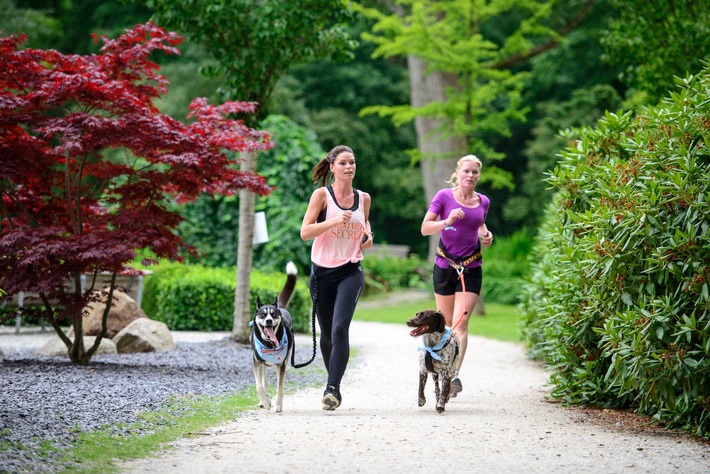 Faire du sport avec son chien en toute sécurité