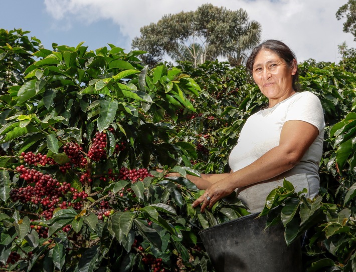 Fairtrade wächst trotz turbulenter Zeiten / Pressemitteilung