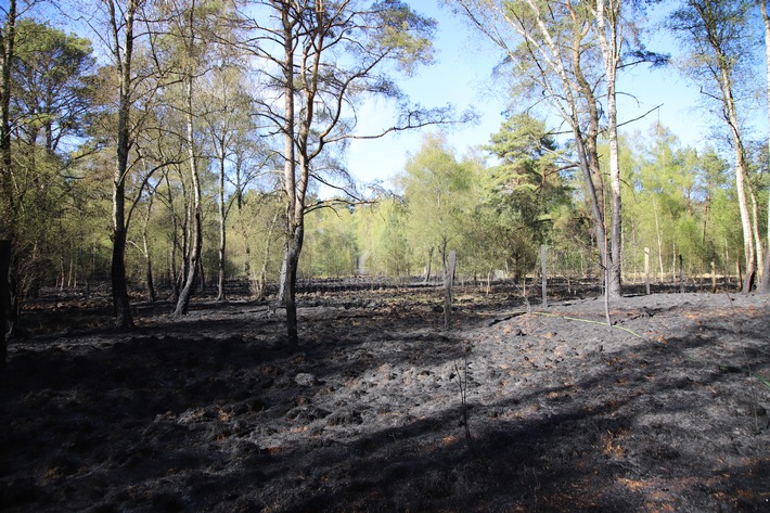 FW-SE: Erneut großer Wald- und Moorbrand im Kreis Segeberg