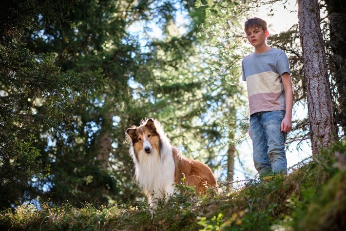 Neuer Kinostarttermin LASSIE - EIN NEUES ABENTEUER: Ab 27. Juli 2023 im Kino