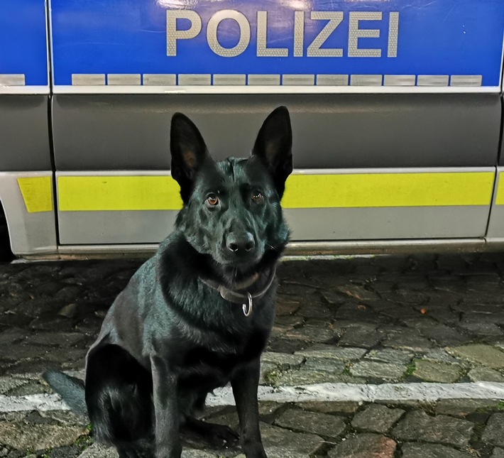POL-HH: 250616-1. Drei vorläufige Festnahmen nach Verdacht des Wohnungseinbruchdiebstahls in Hamburg-St. Georg