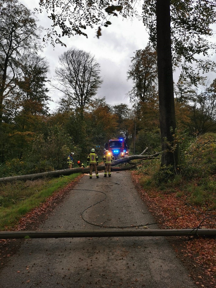 FW-EN: Sturmtief "Ciarán" zeigt sich auch in Gevelsberg