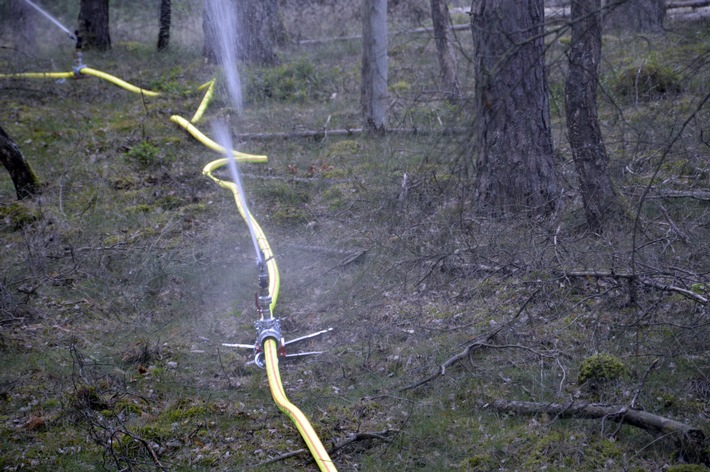 FW Lüchow-Dannenberg: +++ Waldbrandübung in Lüchow-Dannenberg +++ Feldbrand bei Clenze breitet sich aus +++ Insgesamt 8ha Waldgebiet betroffen +++ Feuerwehr hat Probleme mit engen und zugewachsenen Wegen +++