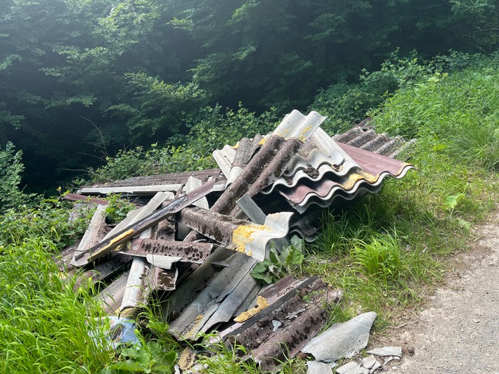 POL-MA: Eberbach/Unterdielbach/Rhein-Neckar-Kreis: Illegale Entsorgung asbesthaltiger Eternitplatten im Waldgebiet - Zeugenaufruf