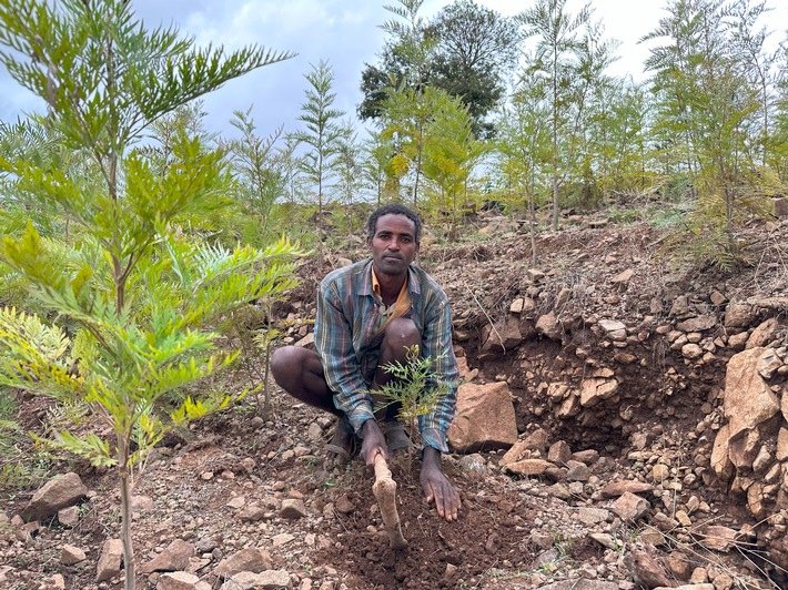 Forstwirtschaft hilft Landwirtschaft / Der Verlust der Ackerkrume bedroht Kleinbauern in Afrika