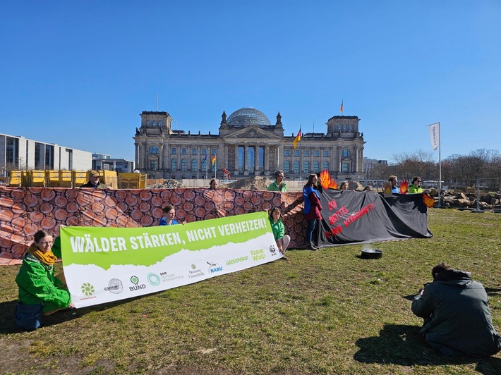 Wälder stärken, nicht verheizen!