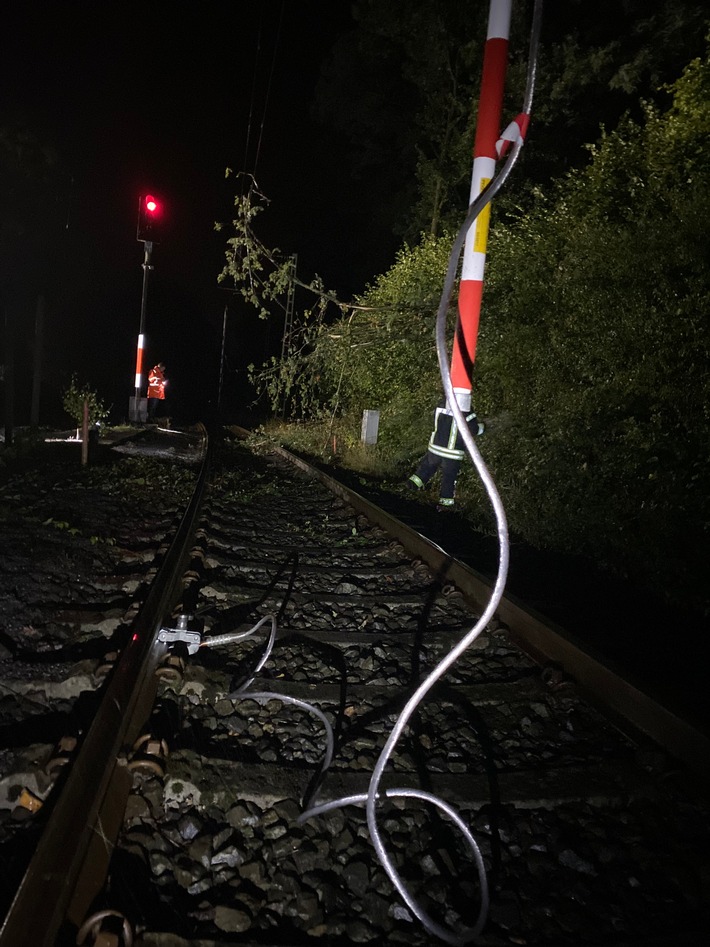 FW-DT: Brennender Baum auf Bahn-Oberleitung