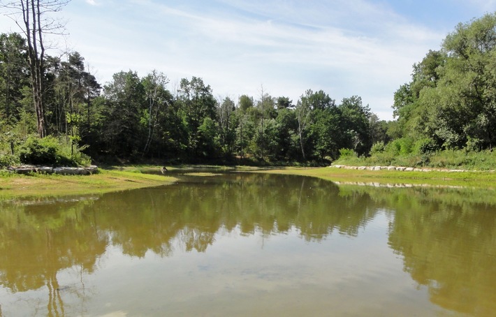 DBU Naturerbe bittet um Rücksichtnahme nach Teichsanierung am Hainberg