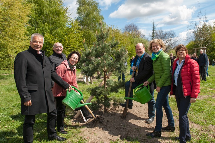 Tag des Baumes 2017: Provinzial Rheinland macht grün / Regionalversicherer stark im Umweltschutz