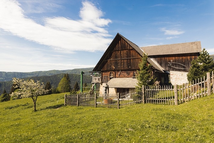 Idylle ade! Joyn lädt im Winter neun Promi-Paare ins &quot;Forsthaus Rampensau Germany&quot; ein