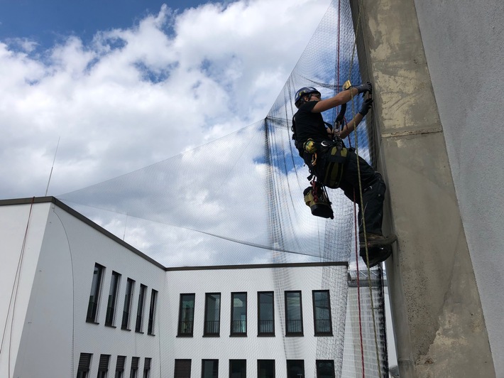 Herausforderungen und Lösungen beim Taubenbefall auf Wohngebäuden