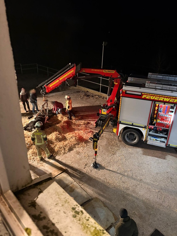 FW Menden: Feuerwehr unterstützt bei Rettung eines gestürzten Pferdes
