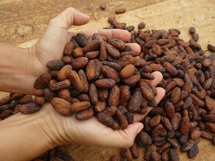 ForestFinance-Kakao erhält Bronzemedaille