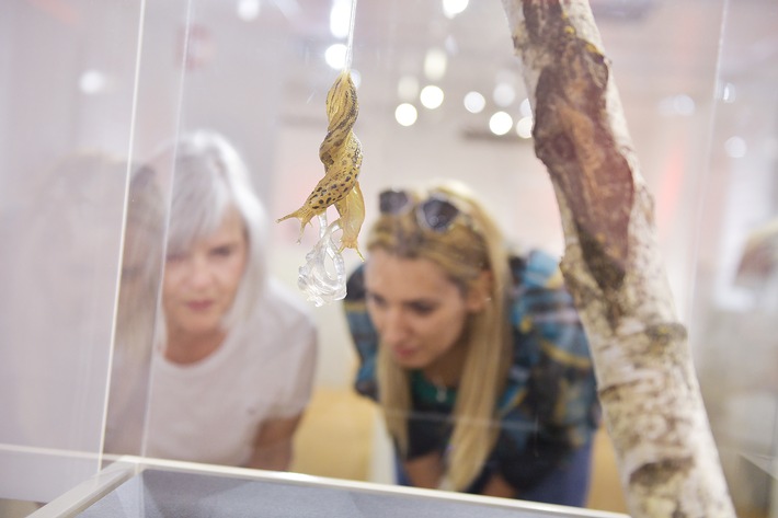 Mittagsführung "Sexperten – ohne Fleiss kein Preis" im Naturmuseum SO