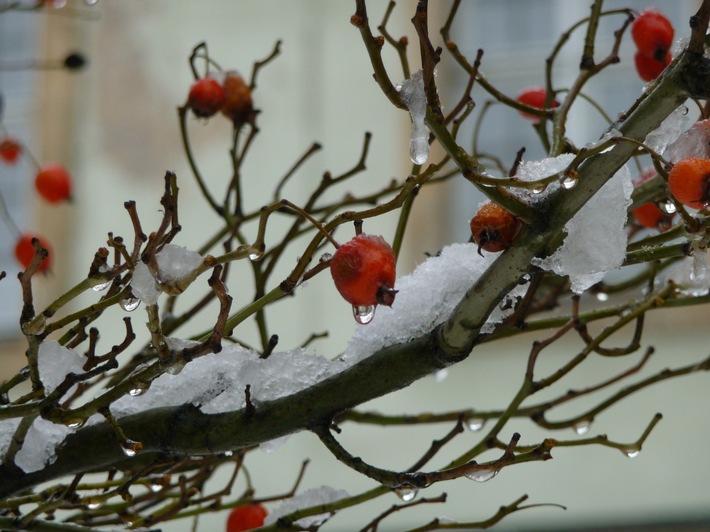 PM: Weihnachtsschließung der Universität Bamberg