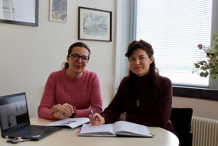 Krebserkrankungen: Wie Tumoren Neutrophile gezielt umprogrammieren