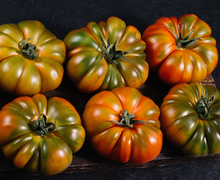 Solargewächshäuser in Südspanien: Heimat der Gourmet-Tomaten