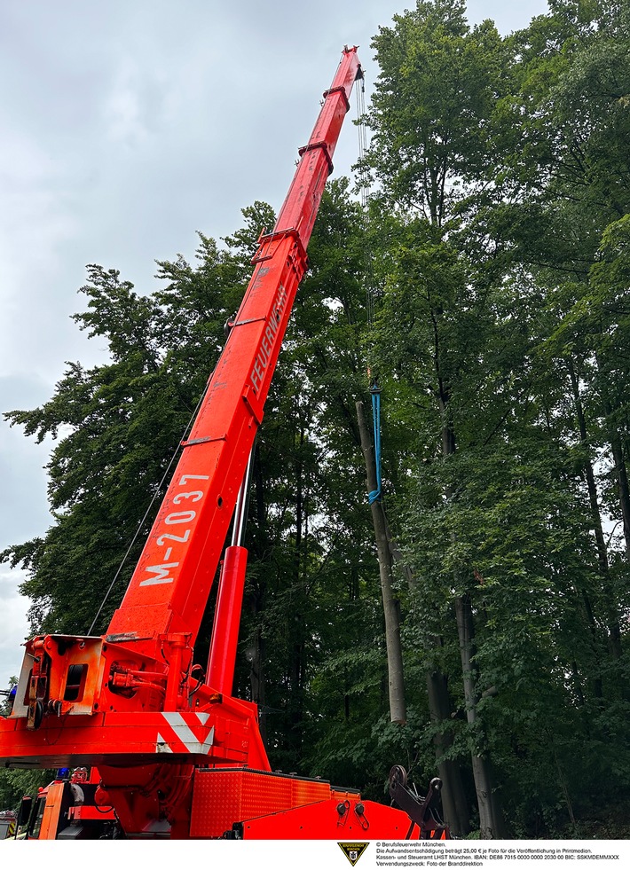 FW-M: Baum droht zu fallen (Oberföhring)