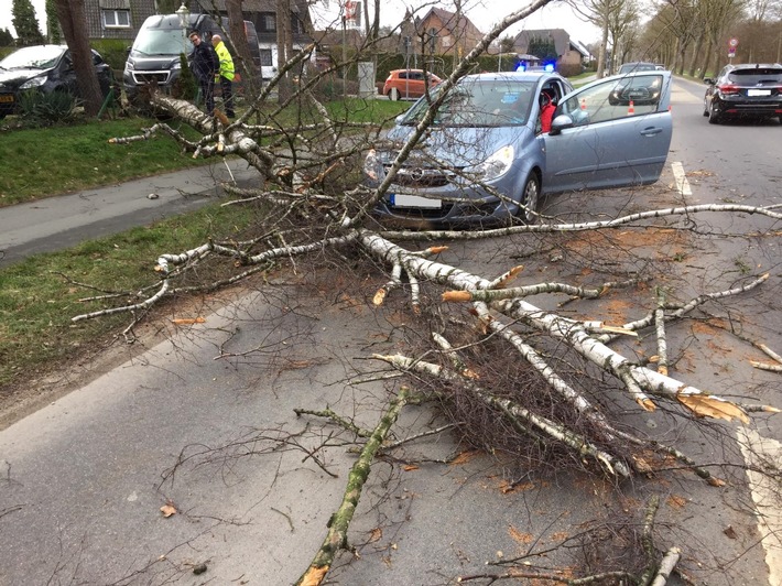 FW-KLE: Baum stürzt vor fahrendes Auto