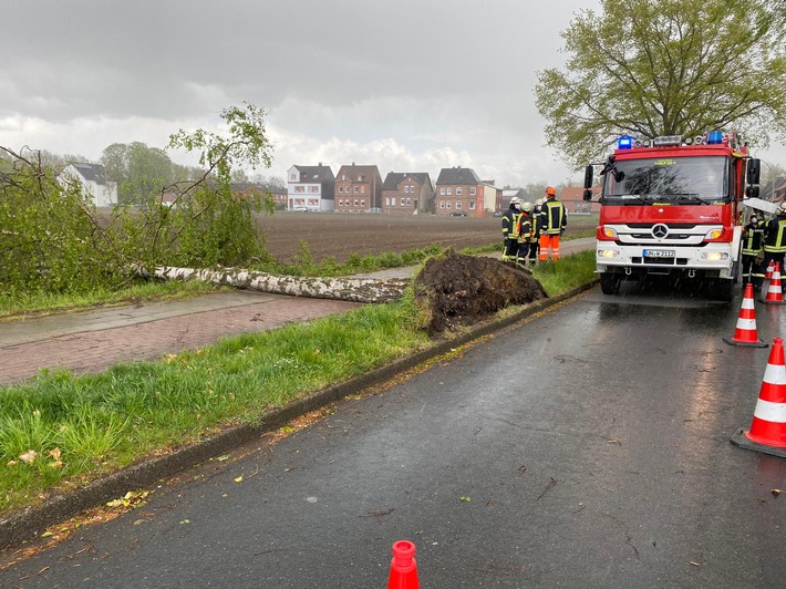 FW-WRN: TH_1 - Baum über Fahrradweg, ca. 5-10m