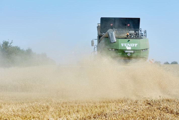Experten der Agravis Raiffeisen AG blicken auf die bevorstehende Ernte 2025