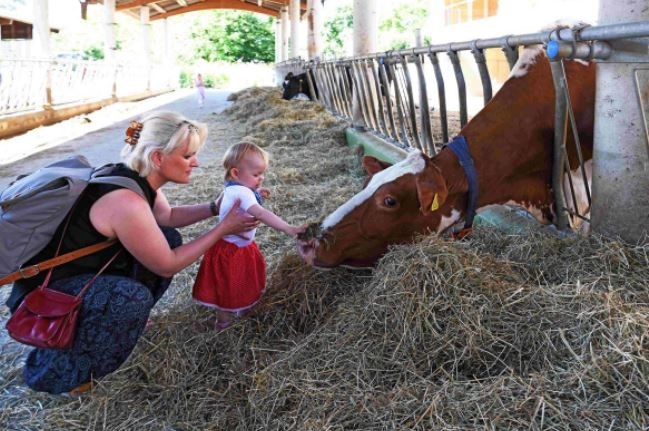 Il 12 giugno potete conoscere meglio l’agricoltura locale In