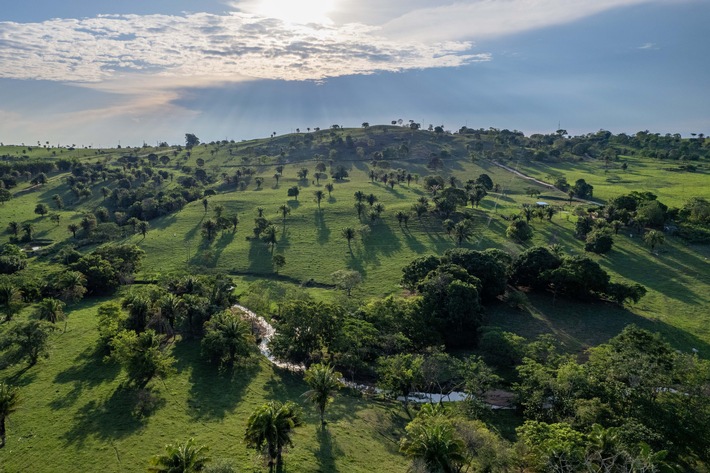 DEKRA verstärkt Engagement für Klimaverantwortung