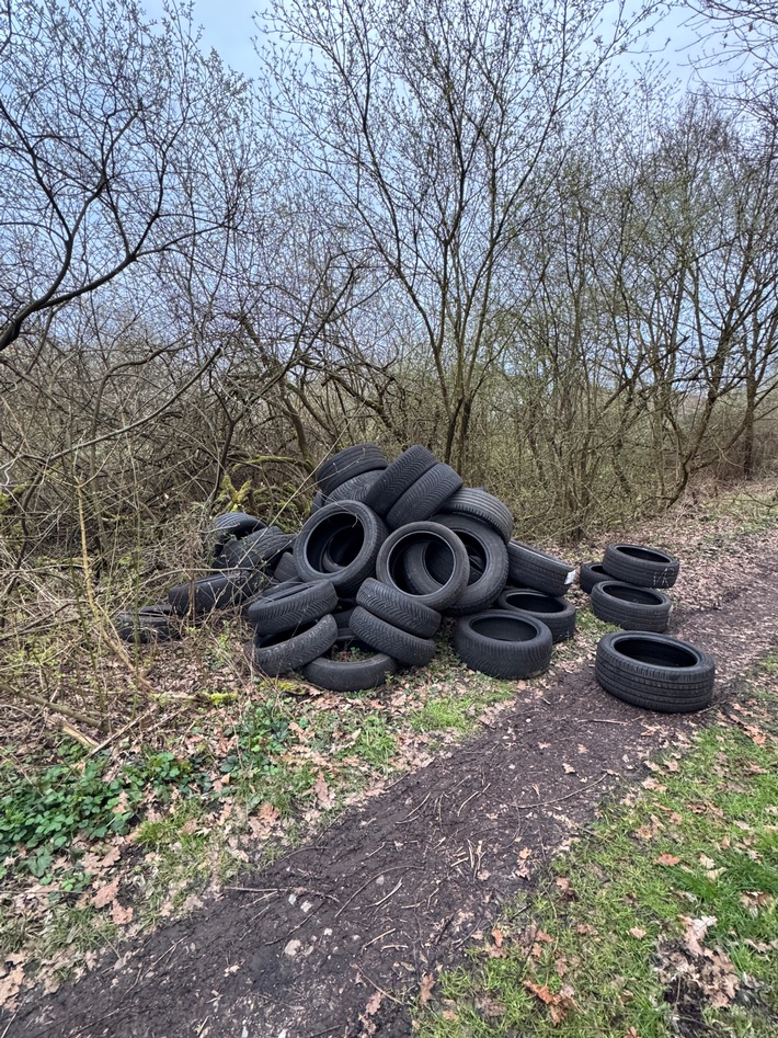 POL-OG: Achern - Illegale Abfallentsorgung