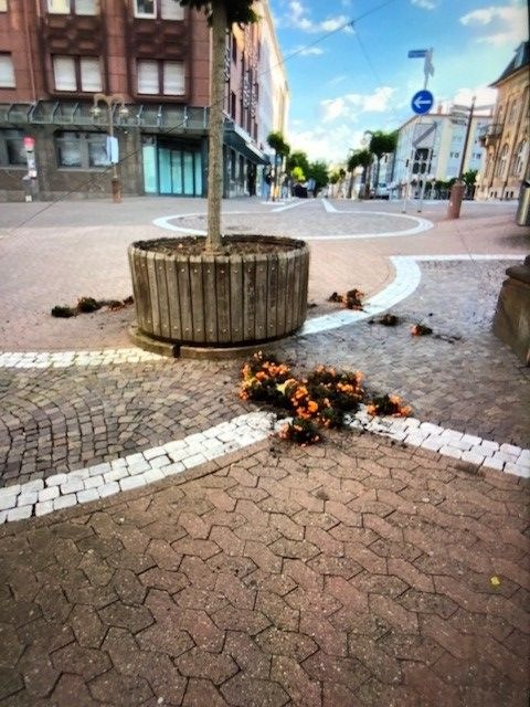 POL-PDPS: Blumen in der Fußgängerzone aus den Kübeln gerissen