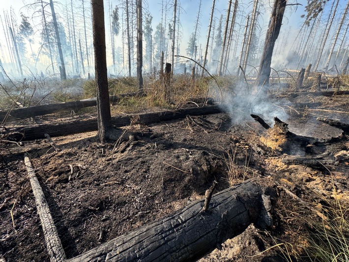 FW Kreis Soest: Erste Folgemeldung Waldbrand Möhnesee