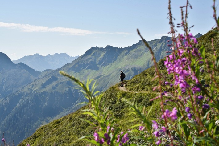 Goldener Herbst im Alpbachtal in Tirol