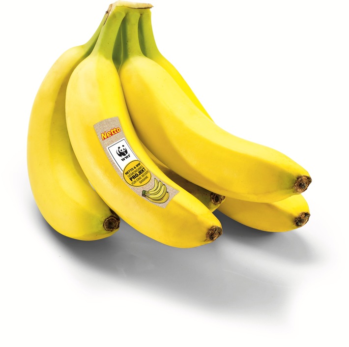 Nachhaltigkeitsplus im Bananenregal: Umweltschonendere Eigenmarken-Banane von Netto ab sofort mit Programm-Logo des WWF