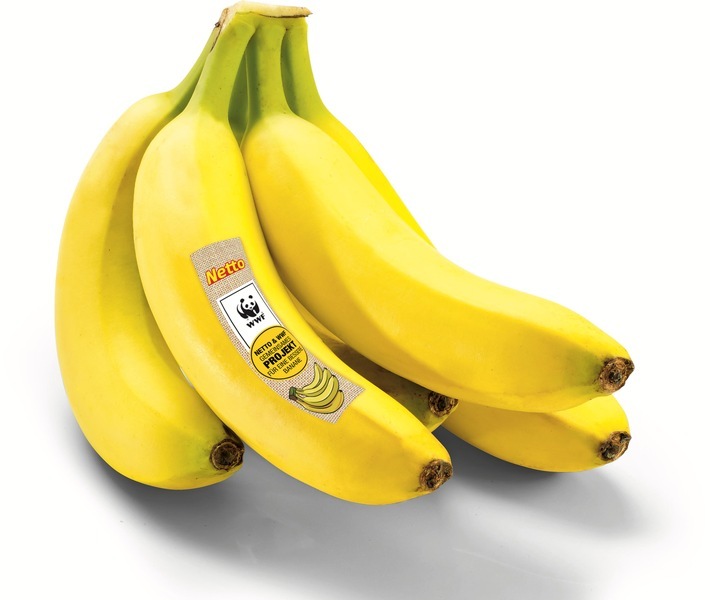 Nachhaltigkeitsplus im Bananenregal: Umweltschonendere Eigenmarken-Banane von Netto ab sofort mit Programm-Logo des WWF / Weiterer Text über ots und www.presseportal.de/nr/72216 / Die Verwendung dieses Bildes für redaktionelle Zwecke ist unter Beachtung aller mitgeteilten Nutzungsbedingungen zulässig und dann auch honorarfrei. Veröffentlichung ausschließlich mit Bildrechte-Hinweis.