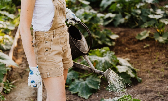Herbstsaison 2021: Worauf man beim Urban Gardening achten sollte