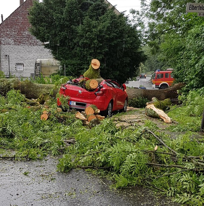 FW-HAAN: Baum stürzt auf Pkw