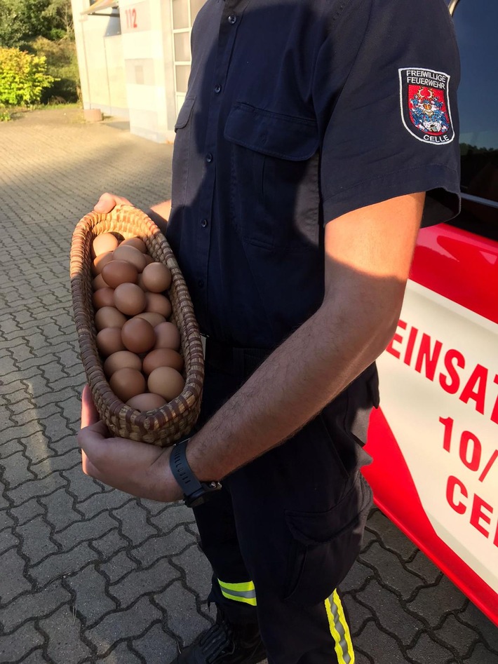 FW Celle: Feuerwehrleute erhalten Eier zum Dank - "Das erleben wir nicht jeden Tag!"