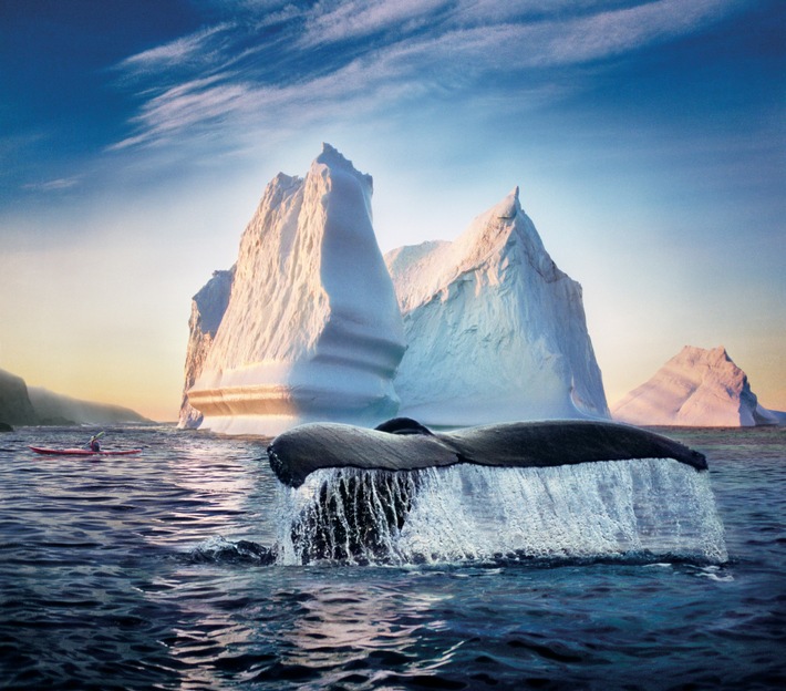 Kayak Iceberg_Credit-Newfoundland and Labrador Tourism (2).jpg