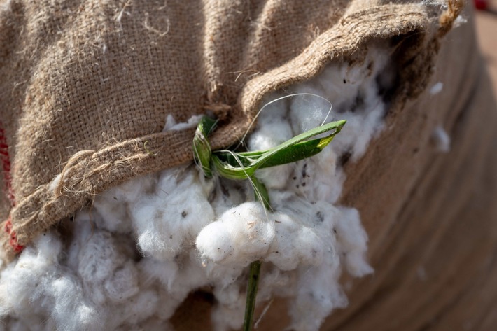 PI AbTF | Biodiversität im Kampf gegen die Folgen des Klimawandels im Fokus